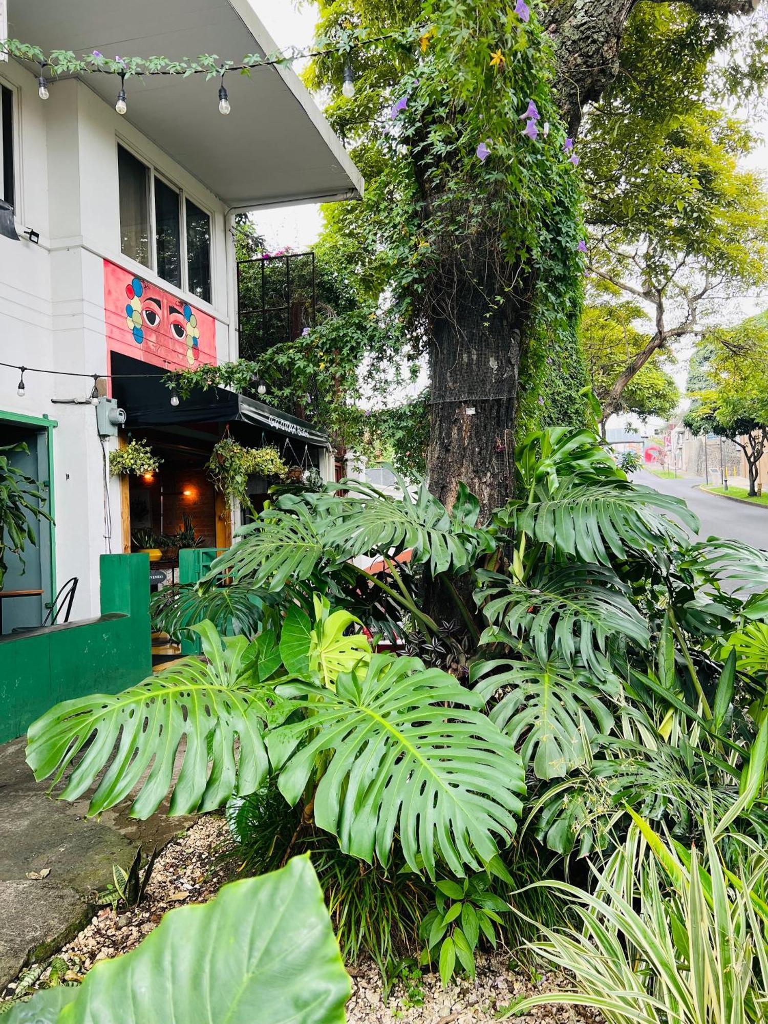 Otoya 1907 Hotel (Adults Only) San Jose  Exterior photo